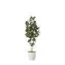 パンの木1.6 2391A360 W50×D45×H160cm【2024年版 人工観葉植物 光の楽園 造花 フェイク リビング 玄関 アートフラワー インテリア...