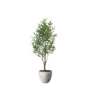 ナチュラルオリーブ1.6 2403A450 W50×D55×H160cm【2024年版 人工観葉植物 光の楽園 造花 フェイク リビング 玄関 アートフラワー ...