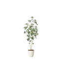 サラサドウダン1.6 2416A280 W60×D40×H160cm【2024年版 人工観葉植物 光の楽園 造花 フェイク リビング 玄関 アートフラワー イン...