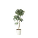 DXショウナンゴム1.8 2417A500 W90×D60×H180cm【2024年版 人工観葉植物 光の楽園 造花 フェイク リビング 玄関 アートフラワー ...