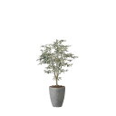 ナチュラルオリーブツリー1.5 2423A600 W90×D90×H150cm【2024年版 人工観葉植物 光の楽園 造花 フェイク リビング 玄関 アートフラ...