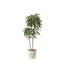 アムステルラバーキング1.8 2440A500 W75×D70×H180cm【2024年版 人工観葉植物 光の楽園 造花 フェイク リビング 玄関 アートフラワ...