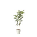 ツートントネリコ1.6 2442A380 W73×D50×H160cm【2024年版 人工観葉植物 光の楽園 造花 フェイク リビング 玄関 アートフラワー イ...