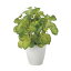 バウヒニア 2446A60 W35×D30×H40cm【2024年版 人工観葉植物 光の楽園 造花 フェイク リビング 玄関 アートフラワー インテリアグリーン】 6,996円