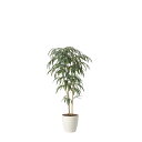 ショウナンゴム1.6 2454A400 W75×D60×H160cm【2024年版 人工観葉植物 光の楽園 造花 フェイク リビング 玄関 アートフラワー イン...