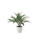 ドラセナ 2459A50 W55×D55×H50cm【2024年版 人工観葉植物 光の楽園 造花 フェイク リビング 玄関 アートフラワー インテリアグリーン】