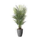 ナチュラルアレカパーム1.75 2500A730 W70×D70×H175cm【2024年版 人工観葉植物 光の楽園 造花 フェイク リビング 玄関 アートフラ...