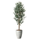 ナチュラルユーカリ1.8 2501A580 W65×D65×H180cm【2024年版 人工観葉植物 光の楽園 造花 フェイク リビング 玄関 アートフラワー ...