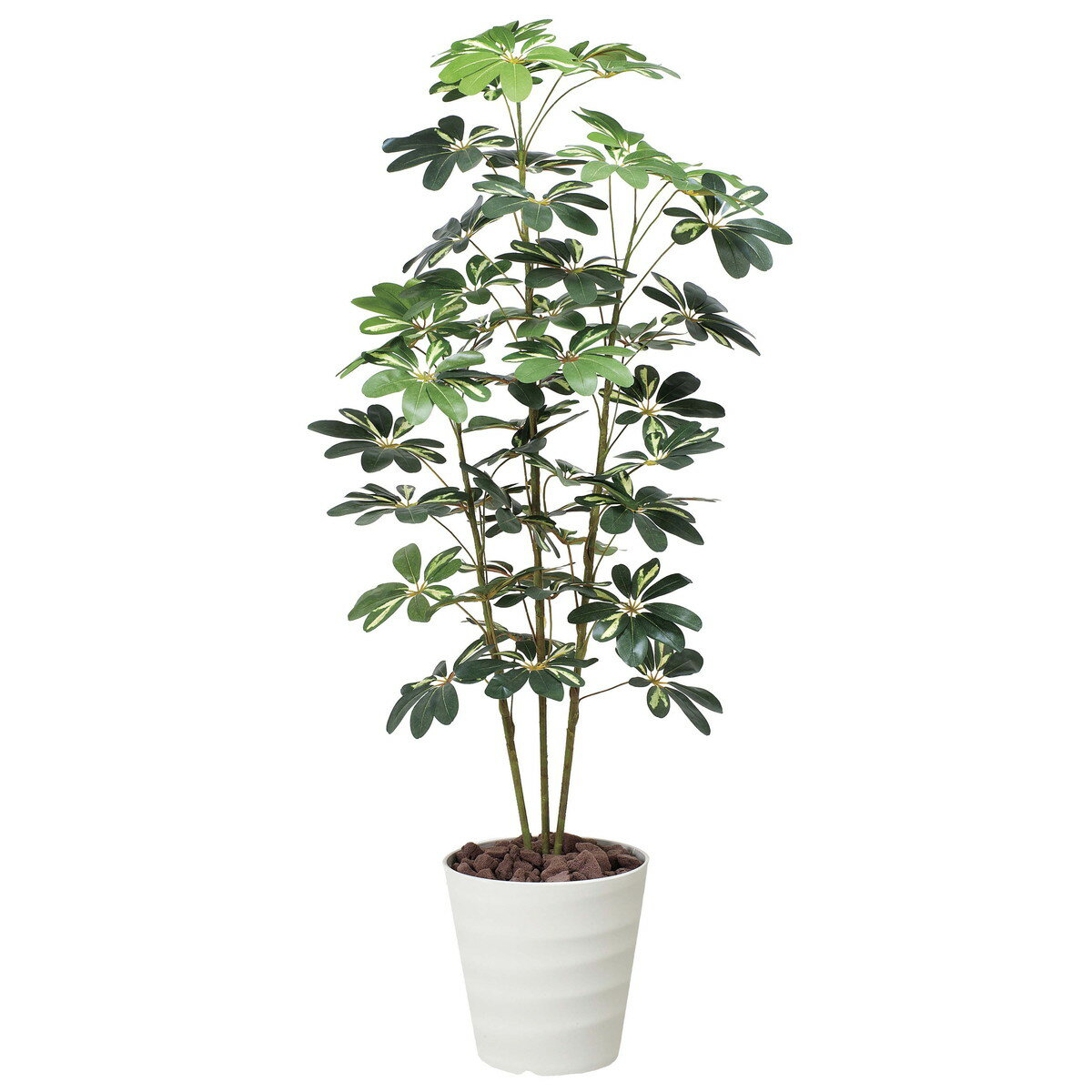 カポック斑入り1.5 355K210 W60×D50×H150cm【2024年版 人工観葉植物 光の楽園 造花 フェイク リビング 玄関 アートフラワー インテリアグリーン】