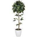 ベンジャミントピアリー 1.5 373B240 W55×D55×H150cm【2024年版 人工観葉植物 光の楽園 造花 フェイク リビング 玄関 アートフラワ...