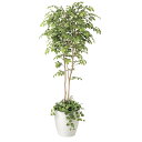マウンテンアッシュ1.8植栽付 408K550 W70×D65×H180cm【2024年版 人工観葉植物 光の楽園 造花 フェイク リビング 玄関 アートフラワ...