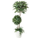 ベンジャミンダブルフェイス1.8植栽付 413A500 W75×D70×H180cm【2024年版 人工観葉植物 光の楽園 造花 フェイク リビング 玄関 アー...