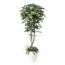 フィカスベンジャミン1.8植栽付 508F500 W80×D80×H180cm【2024年版 人工観葉植物 光の楽園 造花 フェイク リビング 玄関 アートフラ...