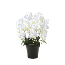 クイーン胡蝶蘭5本立W 654A150 W53×D50×H74cm【2024年版 人工観葉植物 光の楽園 造花 フェイク リビング 玄関 アートフラワー インテリアグリーン】