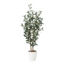 オリ-ブ1.2 869G240 W48×D37×H120cm【2024年版 人工観葉植物 光の楽園 造花 フェイク リビング 玄関 アートフラワー インテリアグリーン】