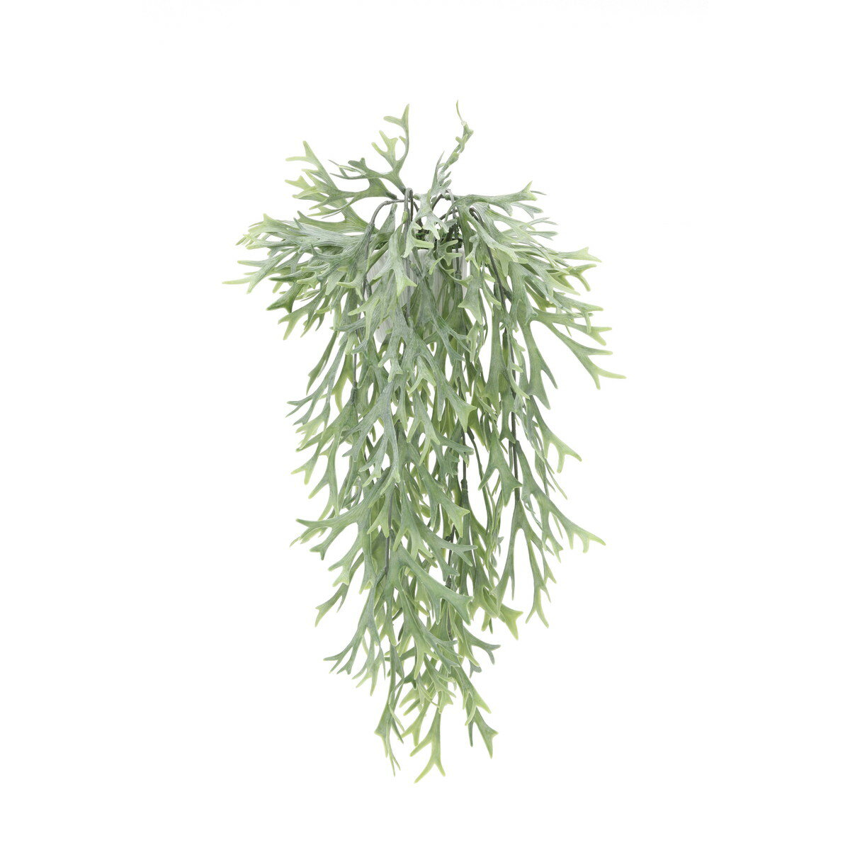 壁掛けスタッグホーン(ポリ製) 882A35 W28×D20×H50cm【2024年版 人工観葉植物 光の楽園 造花 フェイク リビング 玄関 アートフラワー インテリアグリーン】