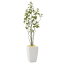 アーバンブランチツリー1.8 944K550 W60×D50×H180cm【2024年版 人工観葉植物 光の楽園 造花 フェイク ..