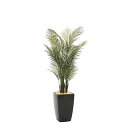 アーバンアレカパーム1.7(ポリ製) 945K700 W60×D65×H170cm【2024年版 人工観葉植物 光の楽園 造花 フェイク リビング 玄関 アート...