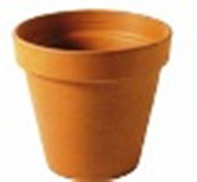 樂天商城 - スタンダードポット 31cm 6個セット DE-01310 0726232013006【ガーデン プランター ポット 鉢 おしゃれ 庭 店舗 園芸 インテリア エクステリア グリーンポット】