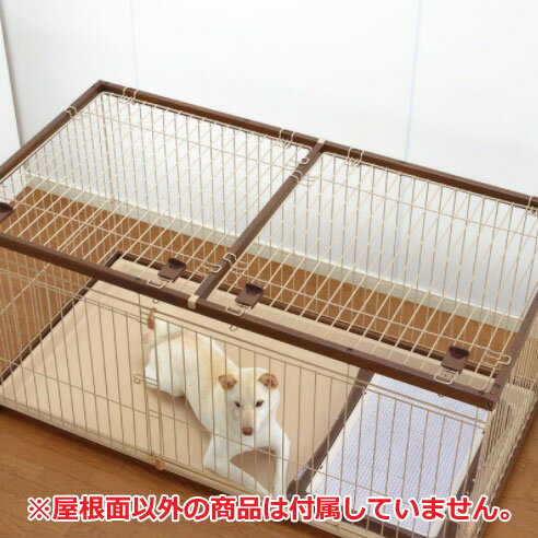 �ڸĿͰ������ġۡڥ��ץ������������ݽ���ñ�ڥåȥ������� 90-60 ������(��������)��Ķ������ ������ �淿�� �� �ڥå� �������� ��å������