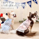 CRAZYBOO / クレイジーブーキラキラフリルワンピースXLサイズ犬服 / 犬の服 / ドッグウェア春夏コレクション