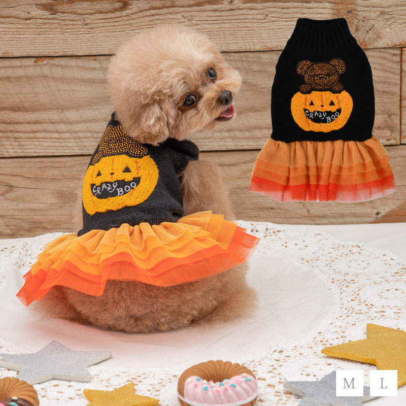 2024最新】愛犬・愛猫と楽しむハロウィンに！ペット向けコスプレ人気