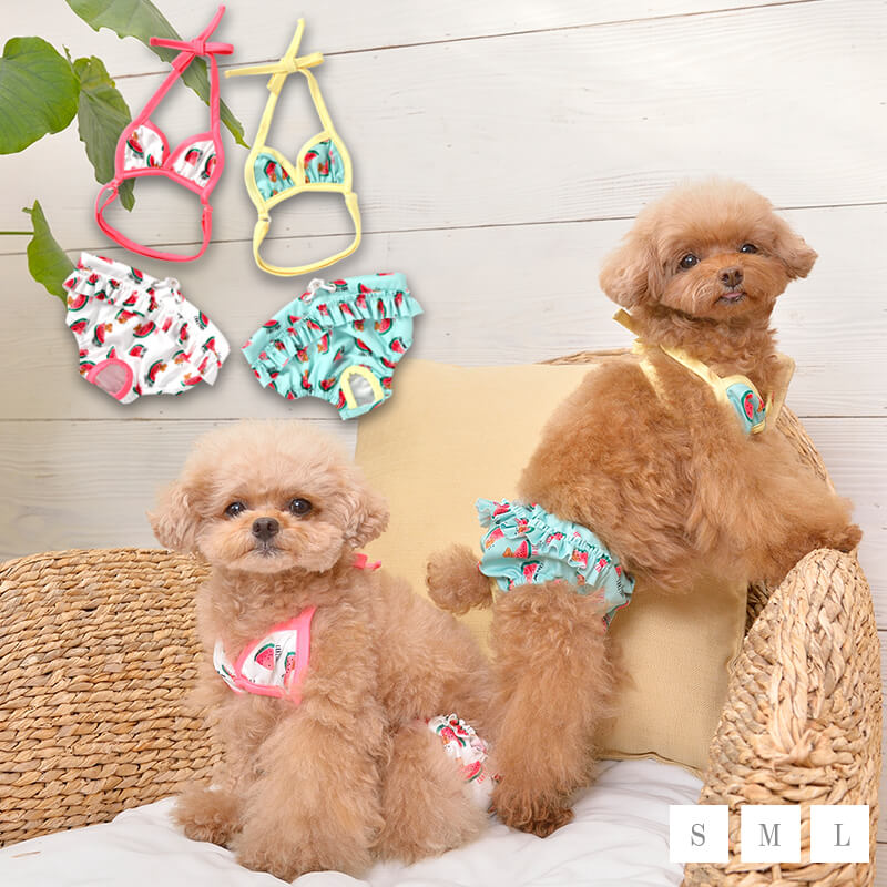 スイカプリントビキニ 水着 S/M/L/XL/XXL CRAZYBOO -クレイジーブー- 犬服 ドッグウェア トイプードル チワワ ポメラニアン CB22SS その1