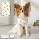 おばけくまさんパーカ XS/S/M/L/XL/XXL/DXS/DS/DM CRAZYBOO -クレイジーブー- 犬服 ドッグウェア ハロウィン HALLOWEEN コスプレ CB25AW