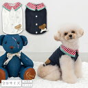 スイカ襟タンク XS/S/M/L/XL/XXL/DXS/DS/DM CRAZYBOO -クレイジーブー- 犬服 ドッグウェア トイプードル チワワ ポメラニアン...