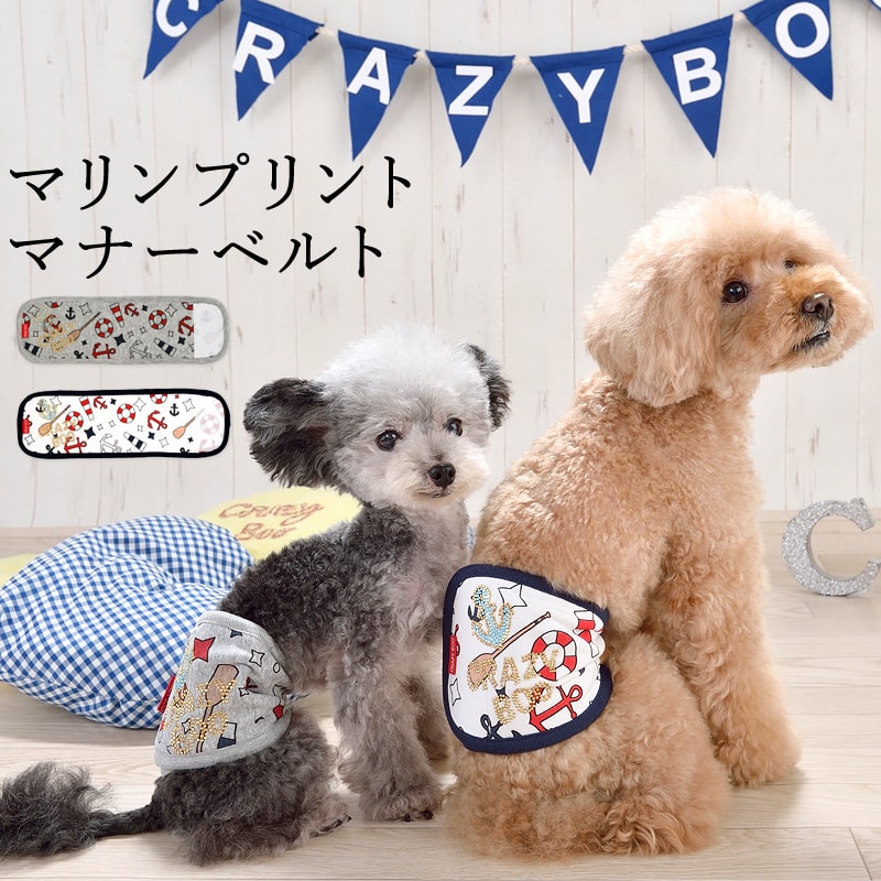 CRAZYBOO / 쥤֡ޥץȥޥʡ٥S / M / L / XL /  / ɥå