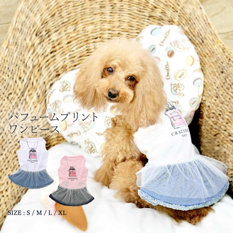 ѥե塼ץȥԡ S/M/L/XL CRAZYBOO/쥤֡ եۥ磻/ԥ //衼/...