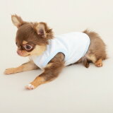 CRAZYBOO Baby（クレイジーブー ベビー）ベロアタンクトップ2XS / XS / S / Mサイズ犬服 / 犬の服 / ドッグウェア