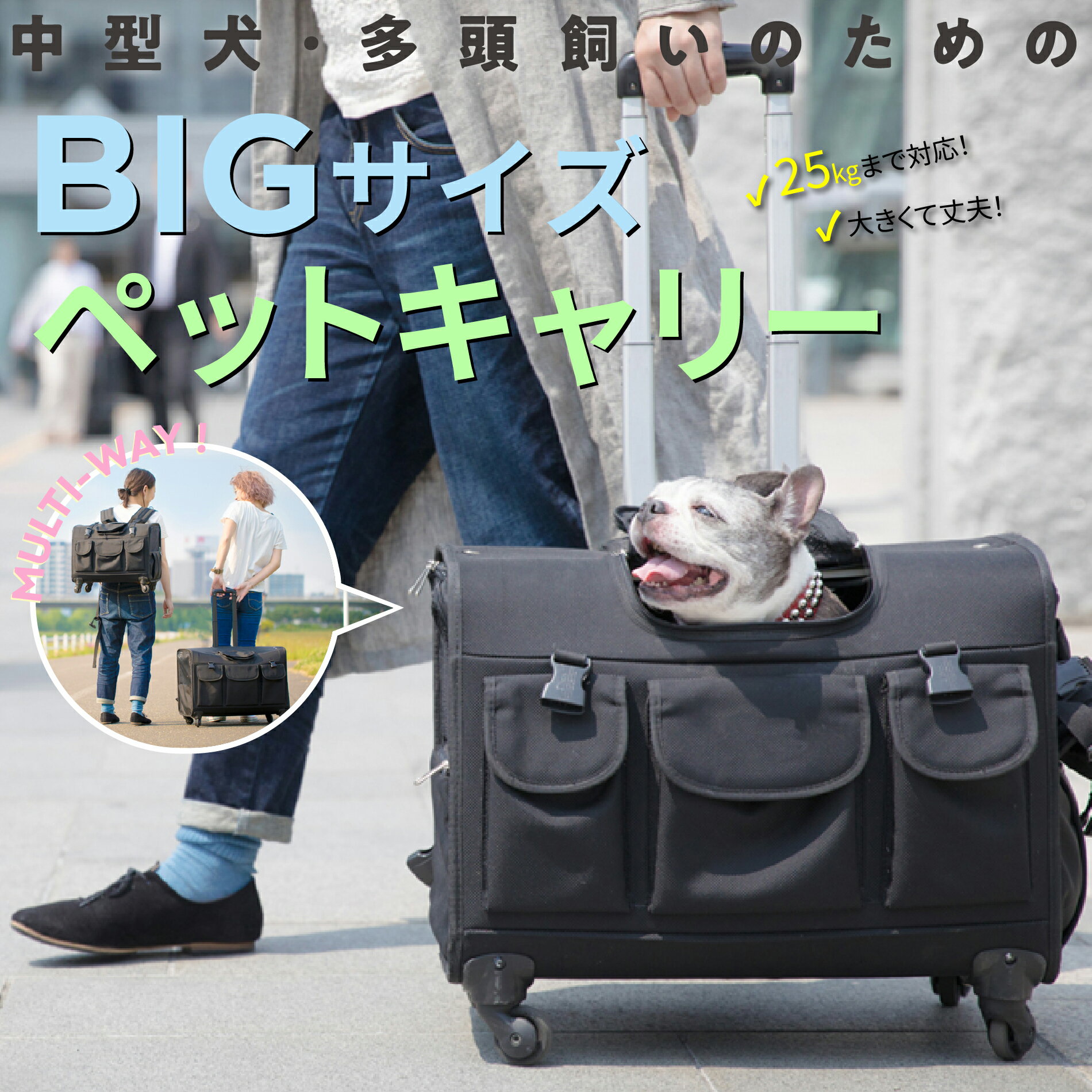 楽天市場】犬用 キャリーバッグ 多頭の通販 楽天市場】犬用 キャリーバッグ 多頭の通販