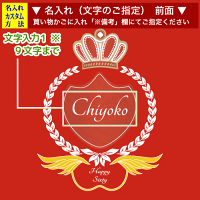 エンブレムがおしゃれな前面デザインのアップ(名入れのご指定)