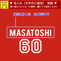 背面デザインのアップ