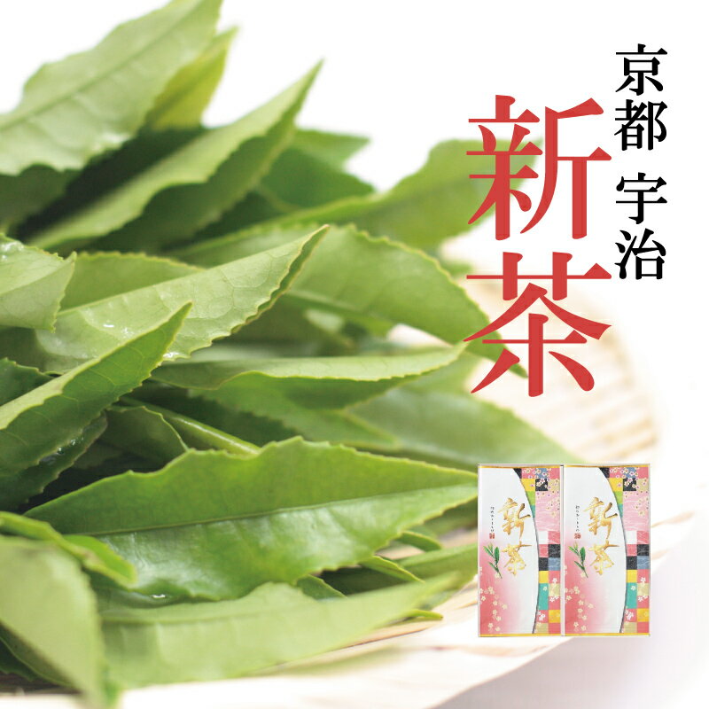 新茶 宇治 新茶2袋 令