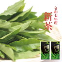 新茶 夏ギフト 宇治 新茶2袋 令和7年産 京都産 宇治茶 ギフト プレゼント 大はしり2袋セット せんちゃ カテキン緑茶お取り寄せ緑茶 日本茶 八十八夜 期間...