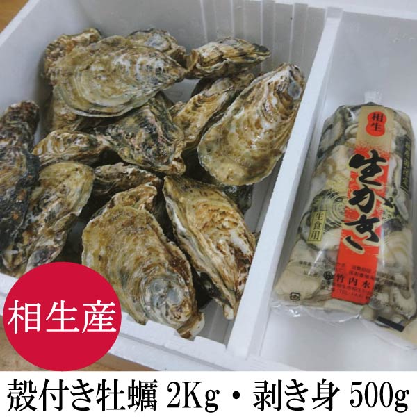 牡蠣 殻付き 2kg ・むき牡蠣 500g 送料無料 生食用 相生産 国産 かき ギフト 牡蠣 生牡蠣 殻付き 殻付き牡蠣 むき牡蠣 むき身 大粒 生食 生食用 大粒 セット 美味しい グルメ 海鮮 お取り寄せ カンカン焼き 蒸し牡蠣 焼牡蠣 お祝い お礼 お返し 贈り物