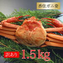 カニ 訳あり 香住ガニ 約1.5kg(約500×3杯) 兵庫...