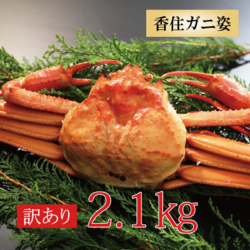 カニ 訳あり 紅ズワイガニ 訳あり 香住ガニ 約2.1kg(約700g×3杯) 兵庫県香住産 ベニズ ...