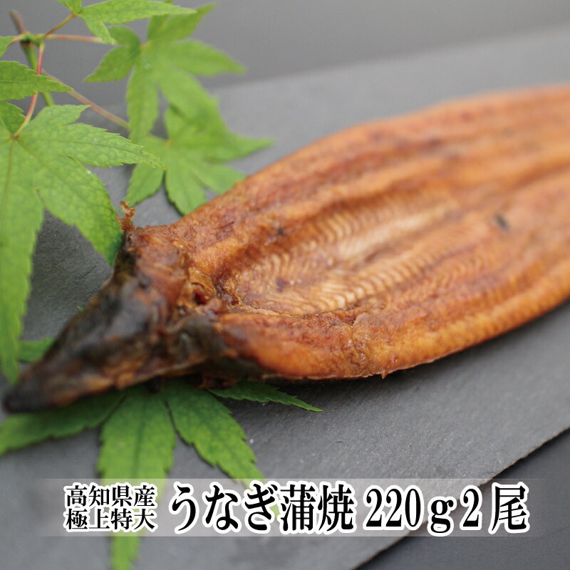 全国お取り寄せグルメ高知惣菜・食材No.25