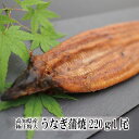 うなぎ 蒲焼き 国産 高知県産 極上特大うなぎ蒲焼220g×1尾 鰻 蒲焼 土用丑の日 贈り物 プレゼン 食べ物 海鮮グルメ お取り寄せ 内祝い お祝い お返し お礼 出産 結婚 新築 引越し 母の日ギフト