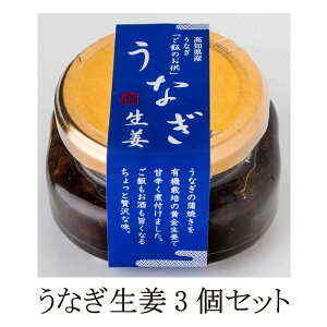 うなぎ生姜 高知 四万十 うなぎ生姜 80g×3個セット TVで紹介 敬老の日 2021 プレゼント ご飯の供 瓶詰 高知県産 丑の日 うなぎ 国産 鰻 化粧箱入り 送料無料 海鮮グルメ お取り寄せ 人気 贈り物 お祝い 内祝い お返し お礼 出産