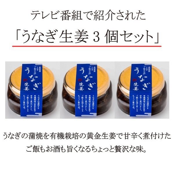 うなぎ生姜 高知 四万十 うなぎ生姜 80g×3個 セット プレゼント ギフト TVで紹介 プレゼント ご飯の供 瓶詰 高知県産 丑の日 うなぎ 国産 鰻 化粧箱入り 送料無料 海鮮グルメ お取り寄せ 人気 贈り物 お祝い 内祝い お返し お礼 出産 食品 母の日 2025