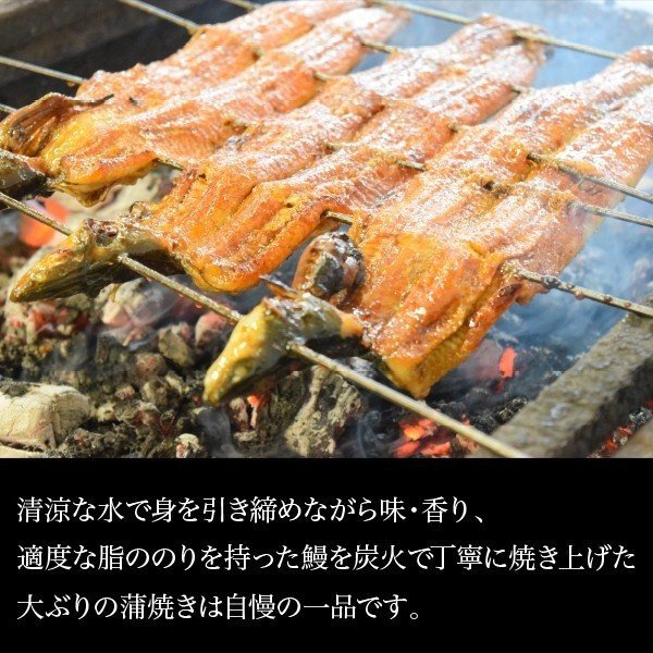 うなぎ 国産 蒲焼き 近江高島鮎池元 吉本 活鰻炭火蒲焼 約200g2尾 ギフト 丑の日 贈り物 贈答 海鮮グルメ 食べ物 お取り寄せ お祝い 内祝い お返し お礼 出産 結婚 新築 引越し 父の日 2025