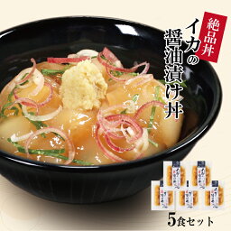 海鮮丼 セット 海鮮丼の具 5袋詰合せ 国産 イカの醤油漬け丼 イカ 烏賊 高知 漬け魚 海鮮茶漬け お茶漬け ギフト 海鮮グルメ 魚漬け丼 5食セット おつまみ ごはんのお供 バレンタイン 食べ物 冷凍 送料無料 贈答 プレゼント お祝い 内祝い お返し 母の日ギフト