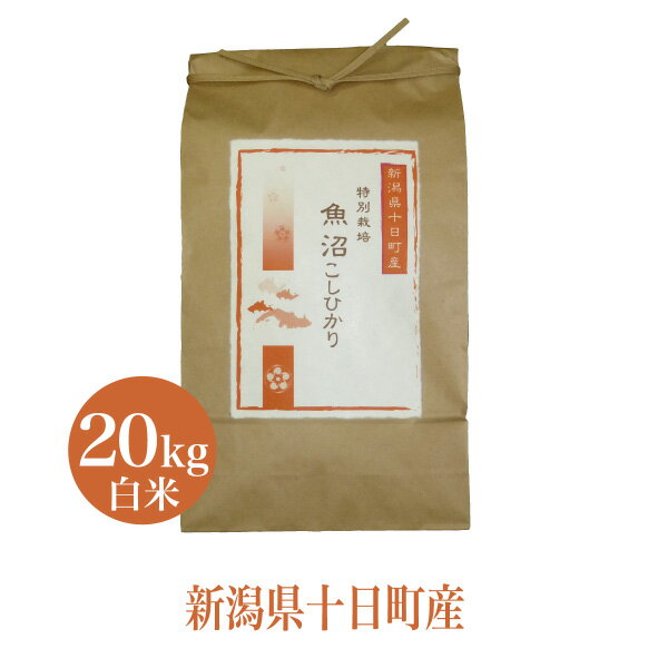 米 20kg こしひかり 特別栽培 魚沼 コシヒカリ 白米 敬老の日 プレゼント 米 ギフト 2022 令和3年産 お米 プレゼント 2022 魚沼 新潟 農家直送 送料無料 天日塩 20g1袋 プレゼント 食べ物 贈答 高級 おいしいお米 産地直送 お取り寄せ お祝い お礼 お返し 引越し