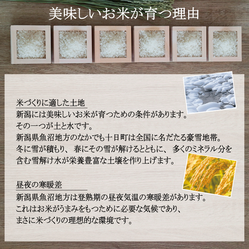 米 10Kg 令和6年産 こしひかり 特別栽培 魚沼 コシヒカリ 特選匠米 お米 魚沼 贈答 新潟 プレゼント ギフト農家直送 送料無料 天日塩 20g1袋プレゼント おいしいお米 産地直送 高級 お取り寄せ 食べ物 新生活 お祝い お礼 内祝い お返し 贈り物 新生活 ギフト