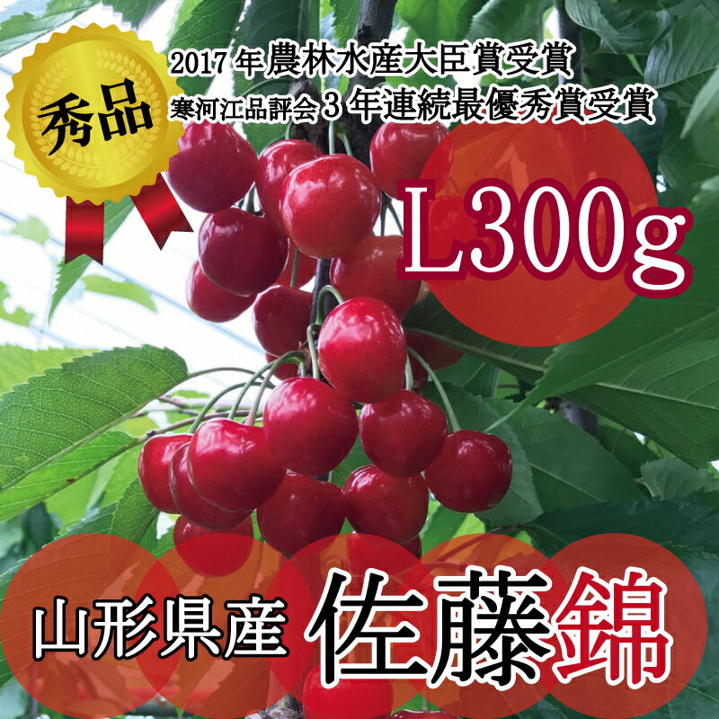 高級なフルーツ さくらんぼ 2024 佐藤錦 秀品 Lサイズ300g 山形県産 送料無料 サクランボ 佐藤錦 フルーツ 果物 食べ物 贈答品 プレゼント 御中元 プレゼント 生産農家 生産農家 厳選品 大粒 産地直送 高級フルーツ のし対応 予約販売 父の日 ギフト