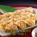 餃子 芦屋 伊東屋謹製 黒豚一口餃子セット おつまみ 冷凍 送料無料 贈答 プレゼント お祝い 内祝い お返し おつまみ 送料無料 中華 お取り寄せ 人気 ジュ...